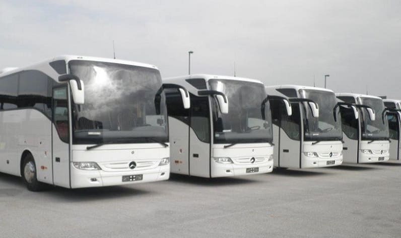Calabria: Bus company in Lamezia Terme in Lamezia Terme and Italy