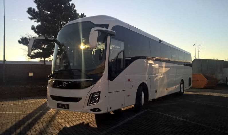 Malta region: Bus hire in Ħamrun in Ħamrun and Malta