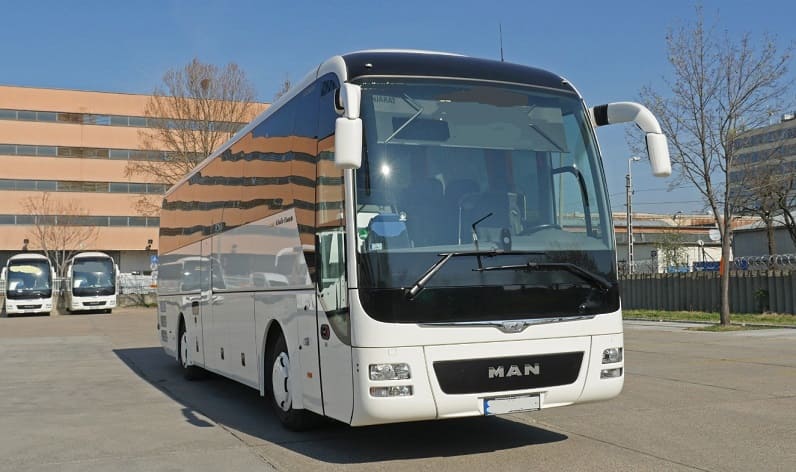 Malta region: Buses operator in Valletta in Valletta and Malta